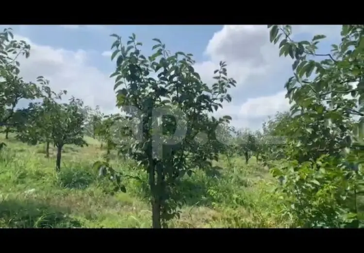 0 m² Obyekt / Ofis , Şəmkir