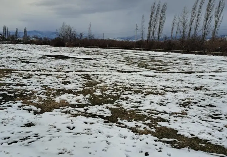 12 sot Torpaq Satılır, Badamdar qəs., Səbail, Bakı
