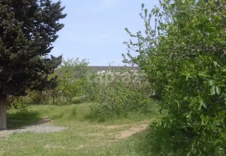 0 m² Obyekt / Ofis , Albalı qəs., Sabunçu, Bakı