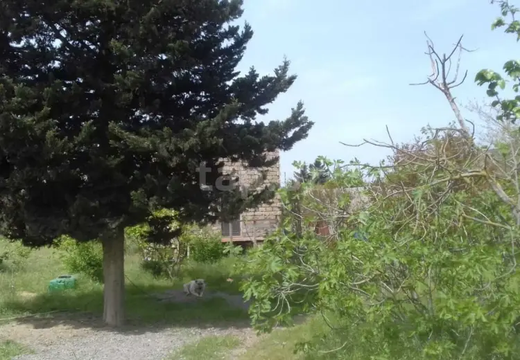 0 m² Obyekt / Ofis , Albalı qəs., Sabunçu, Bakı