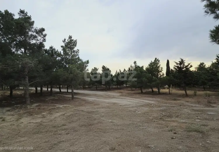 0 m² Obyekt / Ofis , Şüvəlan, Xəzər, Bakı