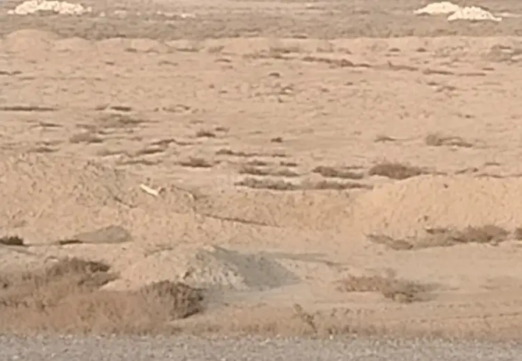 230 sot Torpaq Satılır, Ələt qəs., Qaradağ, Bakı