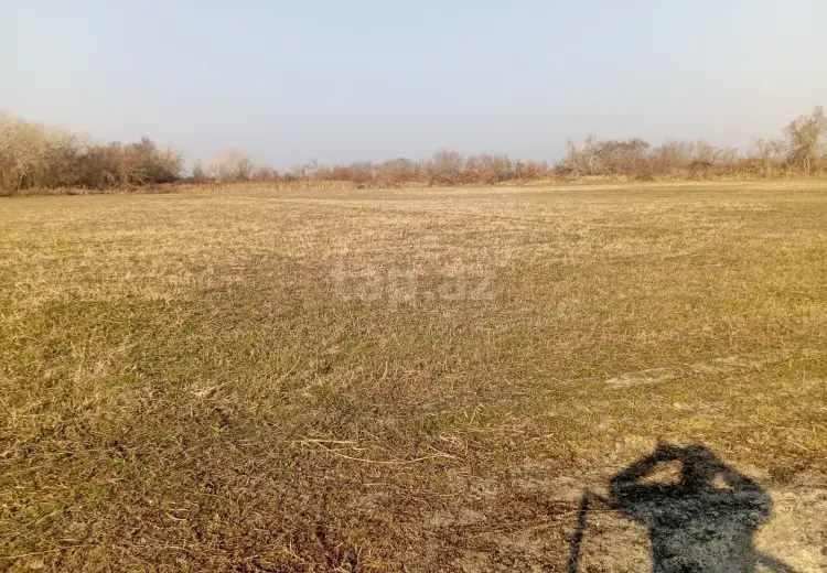 0 m² Obyekt / Ofis , Xaçmaz