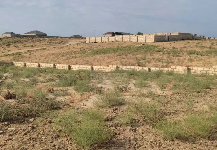6 sot Torpaq Satılır, Saray, Abşeron