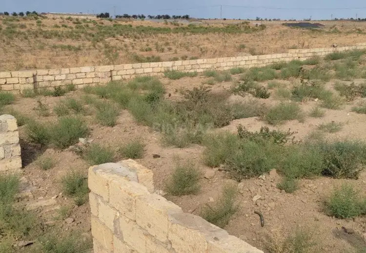 6 sot Torpaq Satılır, Saray, Abşeron