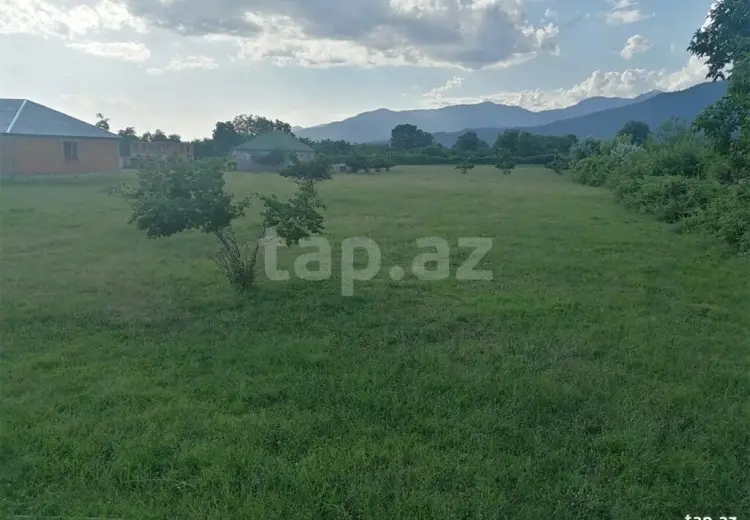 0 m² Obyekt / Ofis , Zaqatala