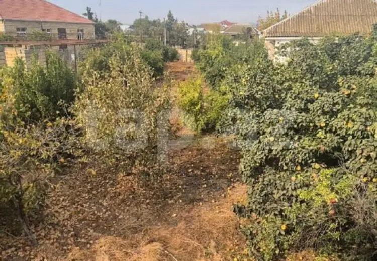 9 otaqlı mənzil , Bakı