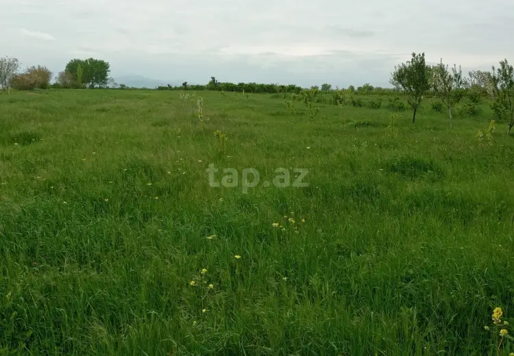 0 m² Obyekt / Ofis , Xaçmaz