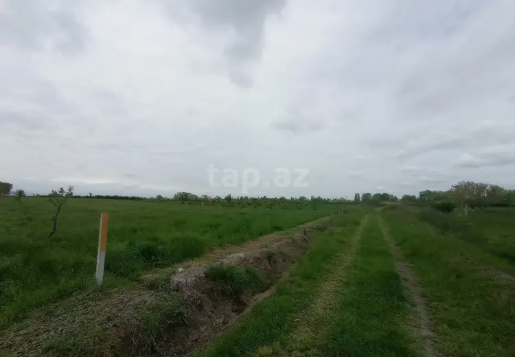 0 m² Obyekt / Ofis , Xaçmaz