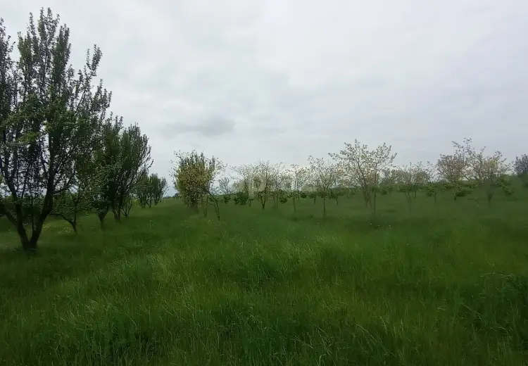 0 m² Obyekt / Ofis , Xaçmaz