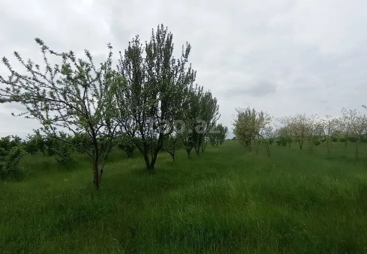 0 m² Obyekt / Ofis , Xaçmaz