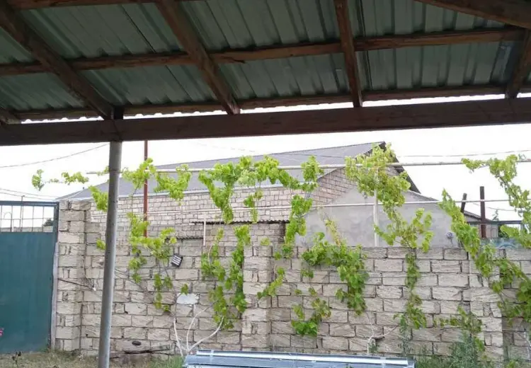 12 sot Torpaq Satılır, Nardaran qəs., Sabunçu, Bakı