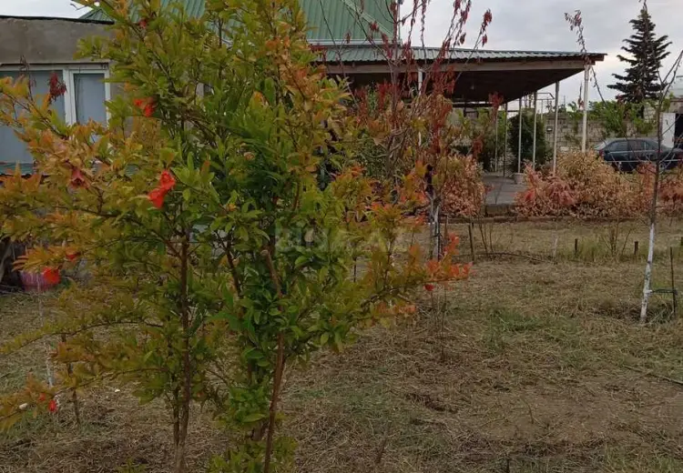 12 sot Torpaq Satılır, Nardaran qəs., Sabunçu, Bakı