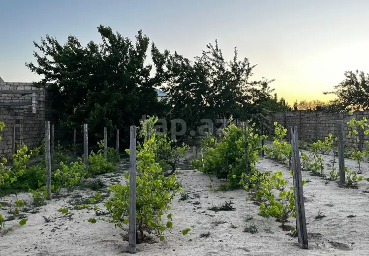 0 m² Obyekt / Ofis , Pirşağı qəs., Sabunçu, Bakı