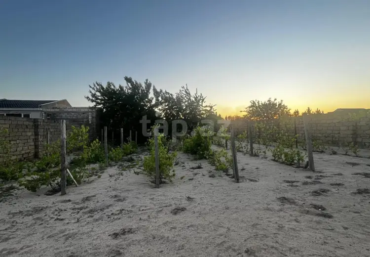 0 m² Obyekt / Ofis , Pirşağı qəs., Sabunçu, Bakı