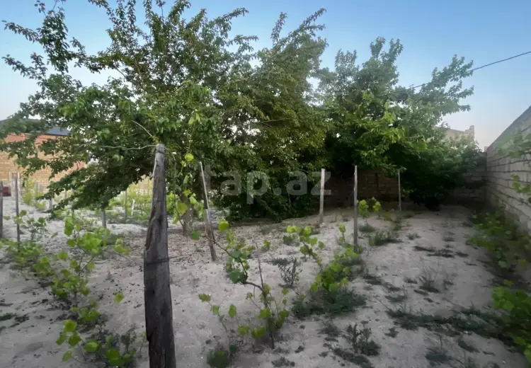 0 m² Obyekt / Ofis , Pirşağı qəs., Sabunçu, Bakı