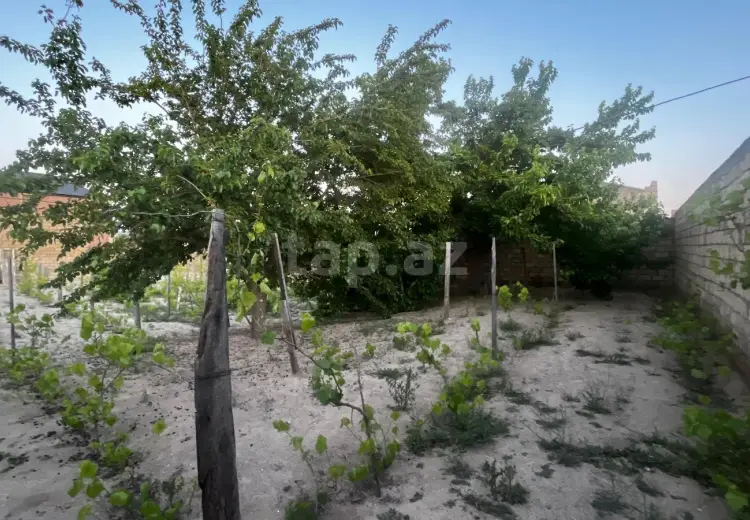 0 m² Obyekt / Ofis , Pirşağı qəs., Sabunçu, Bakı