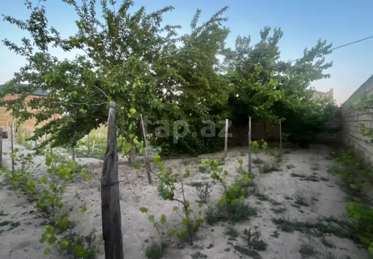 0 m² Obyekt / Ofis , Pirşağı qəs., Sabunçu, Bakı