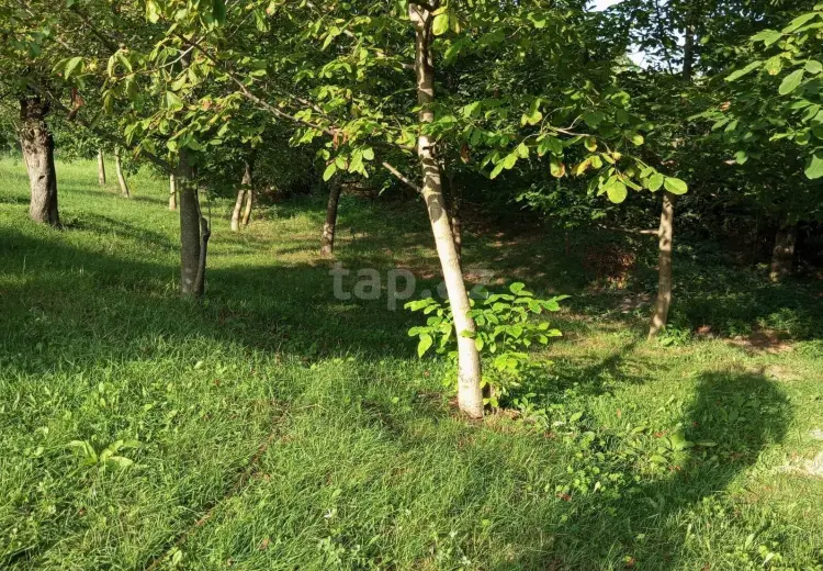 0 m² Obyekt / Ofis , İsmayıllı