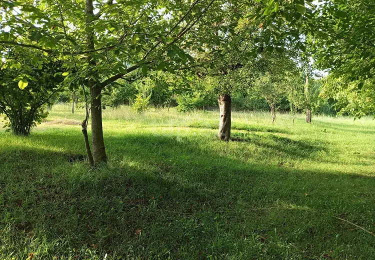 0 m² Obyekt / Ofis , İsmayıllı