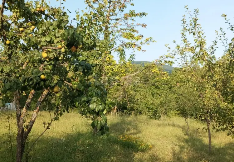 0 m² Obyekt / Ofis , İsmayıllı