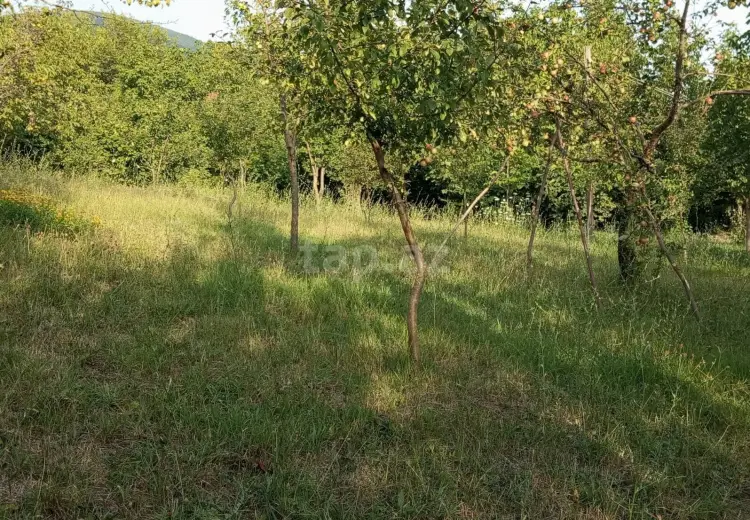 0 m² Obyekt / Ofis , İsmayıllı
