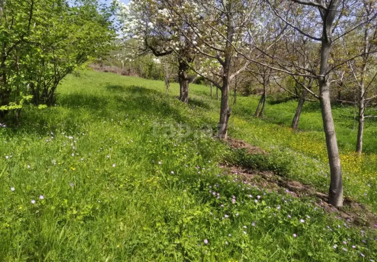 0 m² Obyekt / Ofis , İsmayıllı