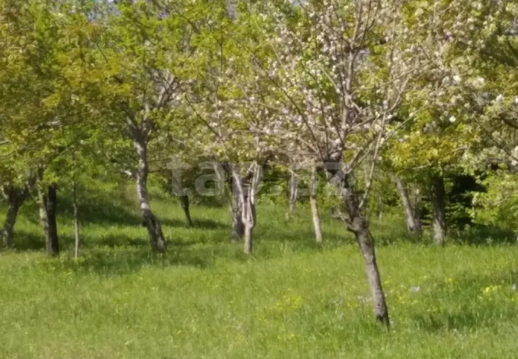 0 m² Obyekt / Ofis , İsmayıllı