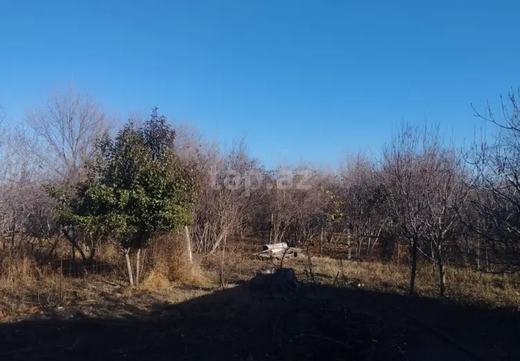 2 otaqlı mənzil , Samux