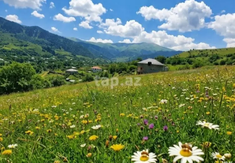 0 m² Obyekt / Ofis , Bakı