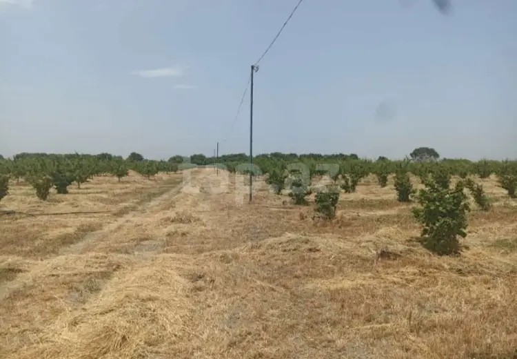 0 m² Obyekt / Ofis , Xaçmaz