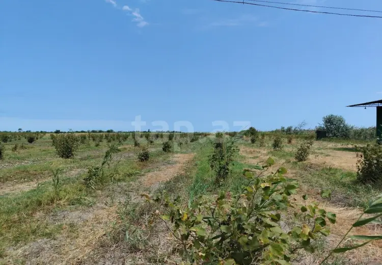0 m² Obyekt / Ofis , Xaçmaz