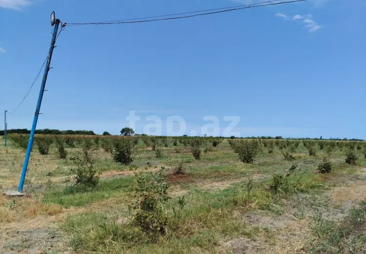 0 m² Obyekt / Ofis , Xaçmaz