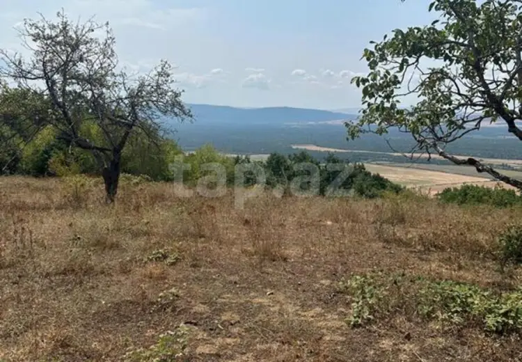 0 m² Obyekt / Ofis , Qəbələ