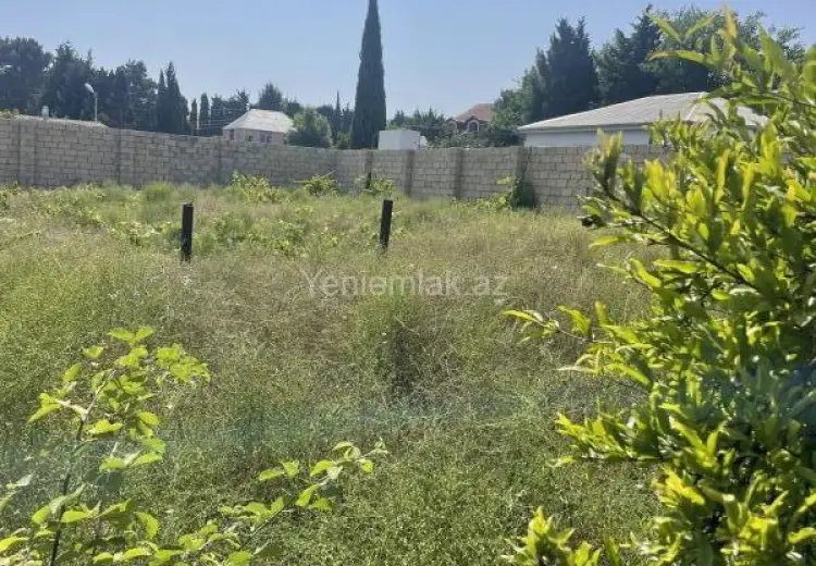 19 sot Torpaq Satılır, Novxanı, Abşeron