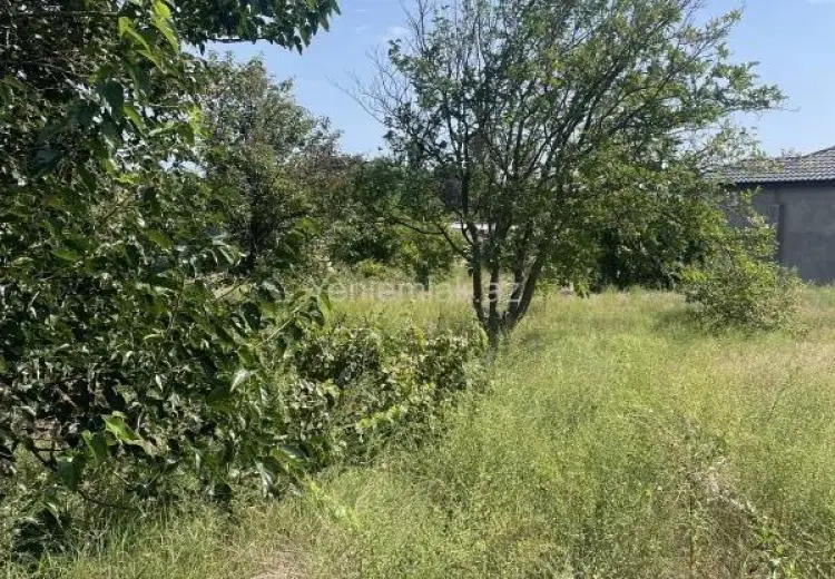19 sot Torpaq Satılır, Novxanı, Abşeron