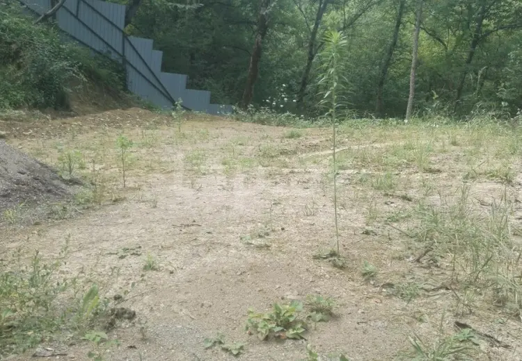 0 m² Obyekt / Ofis , Quba