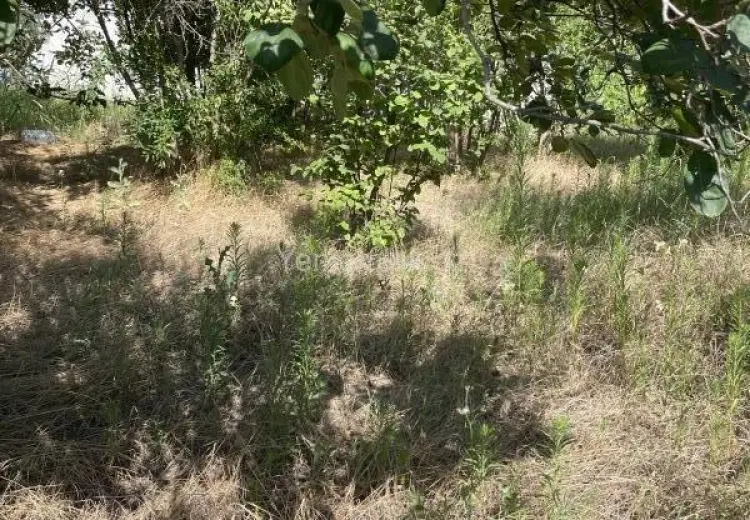 19 sot Torpaq Satılır, Novxanı, Abşeron