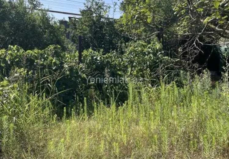 19 sot Torpaq Satılır, Novxanı, Abşeron