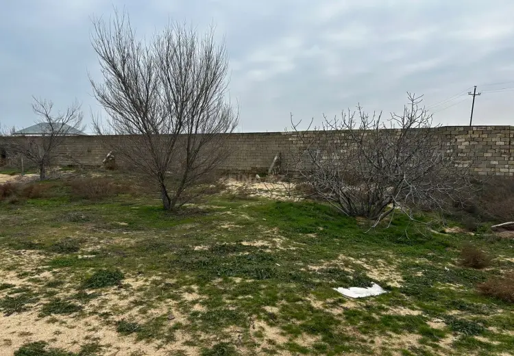 24 sot Torpaq Satılır, Nardaran qəs., Sabunçu, Bakı
