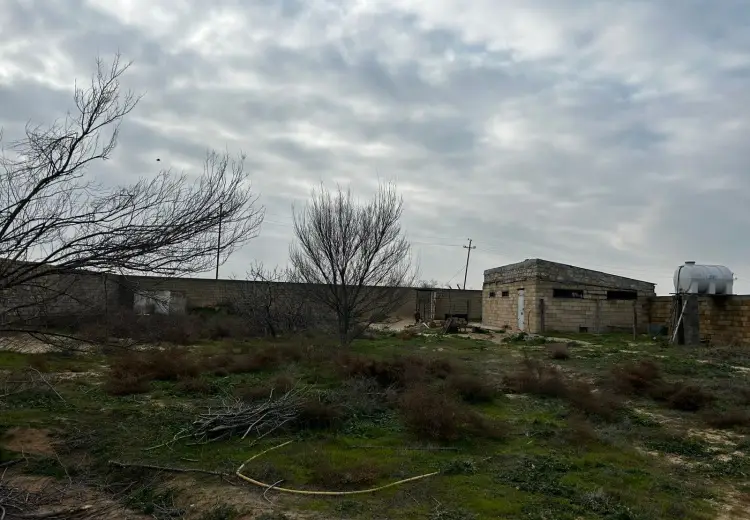 24 sot Torpaq Satılır, Nardaran qəs., Sabunçu, Bakı
