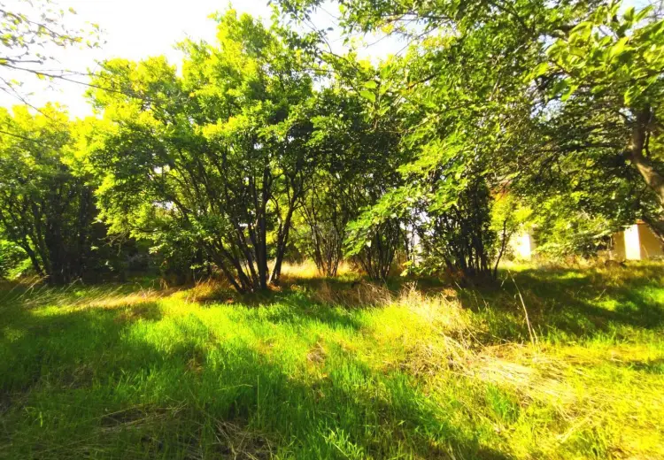 5 sot Torpaq Satılır, Bilgəh qəs., Sabunçu, Bakı