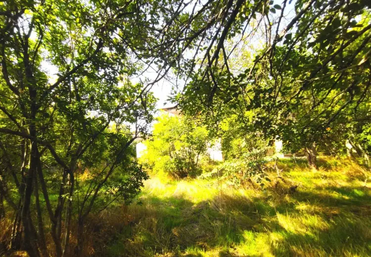 5 sot Torpaq Satılır, Bilgəh qəs., Sabunçu, Bakı