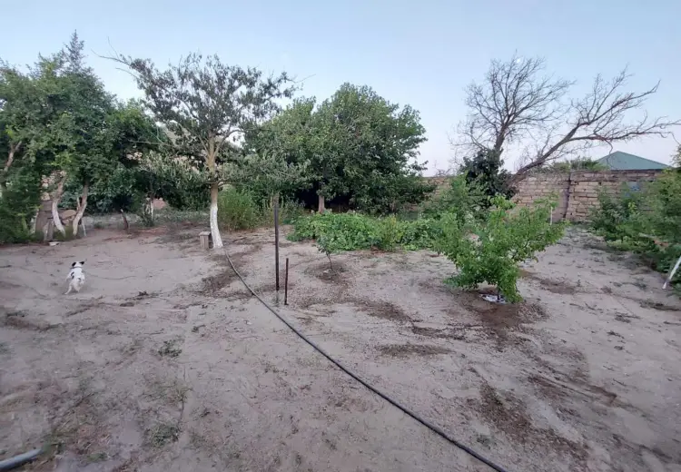 4.5 sot Torpaq Satılır, Məştağa qəs., Sabunçu, Bakı