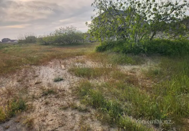 25 sot Torpaq Satılır, Nardaran qəs., Sabunçu, Bakı