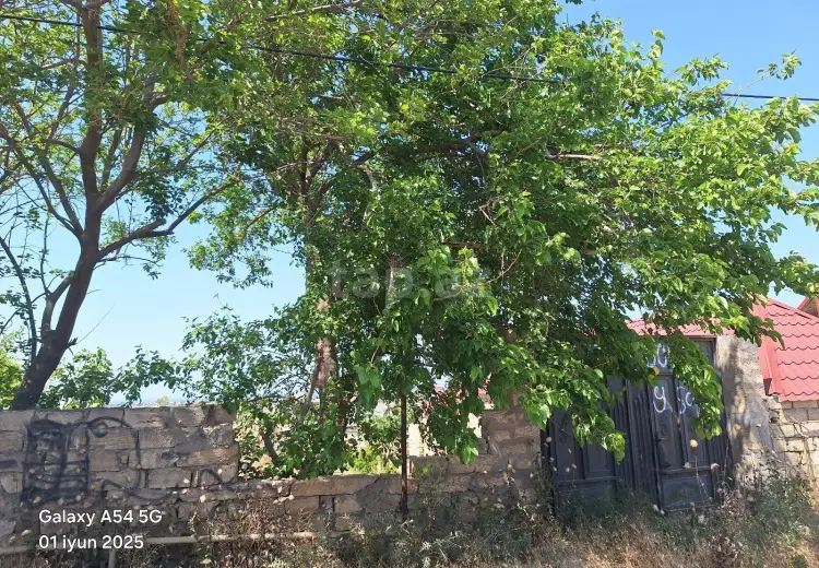 0 m² Obyekt / Ofis , Nardaran qəs., Sabunçu, Bakı
