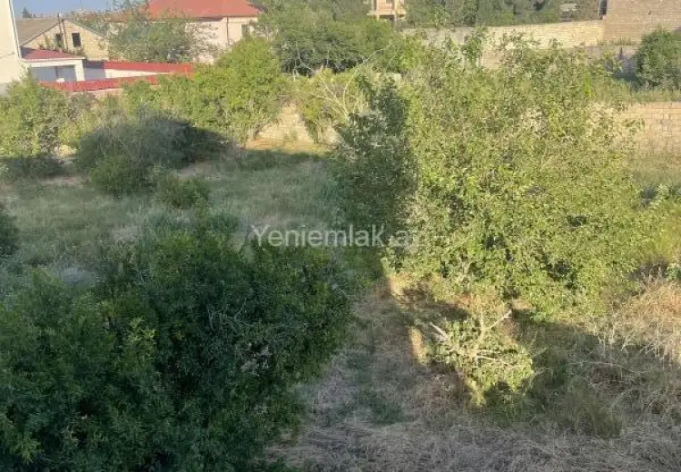 10 sot Torpaq Satılır, Novxanı, Abşeron