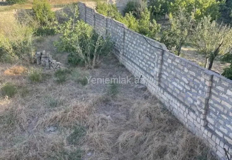 10 sot Torpaq Satılır, Novxanı, Abşeron