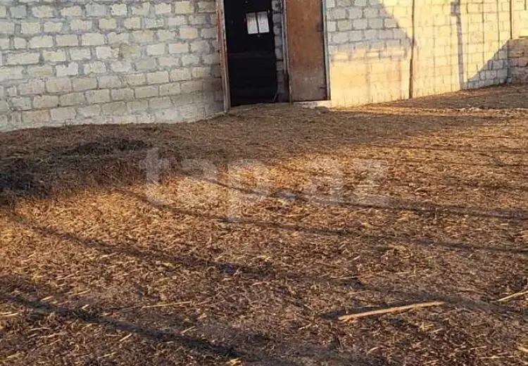 0 m² Obyekt / Ofis , Göyçay