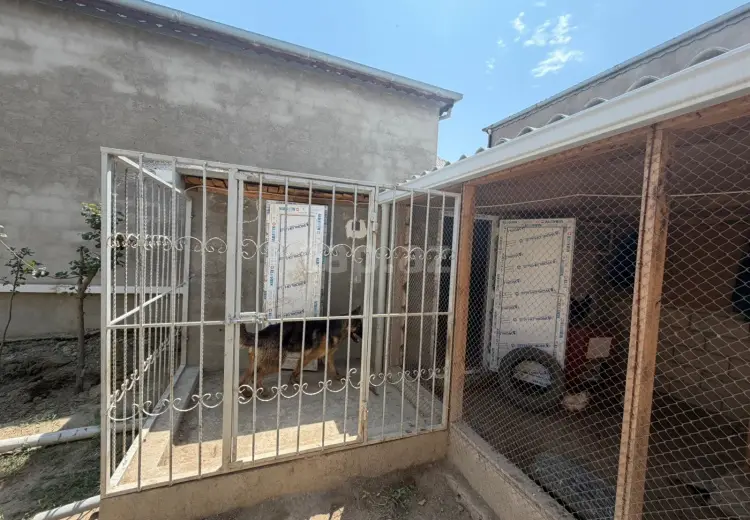 3 otaqlı mənzil , Sumqayıt